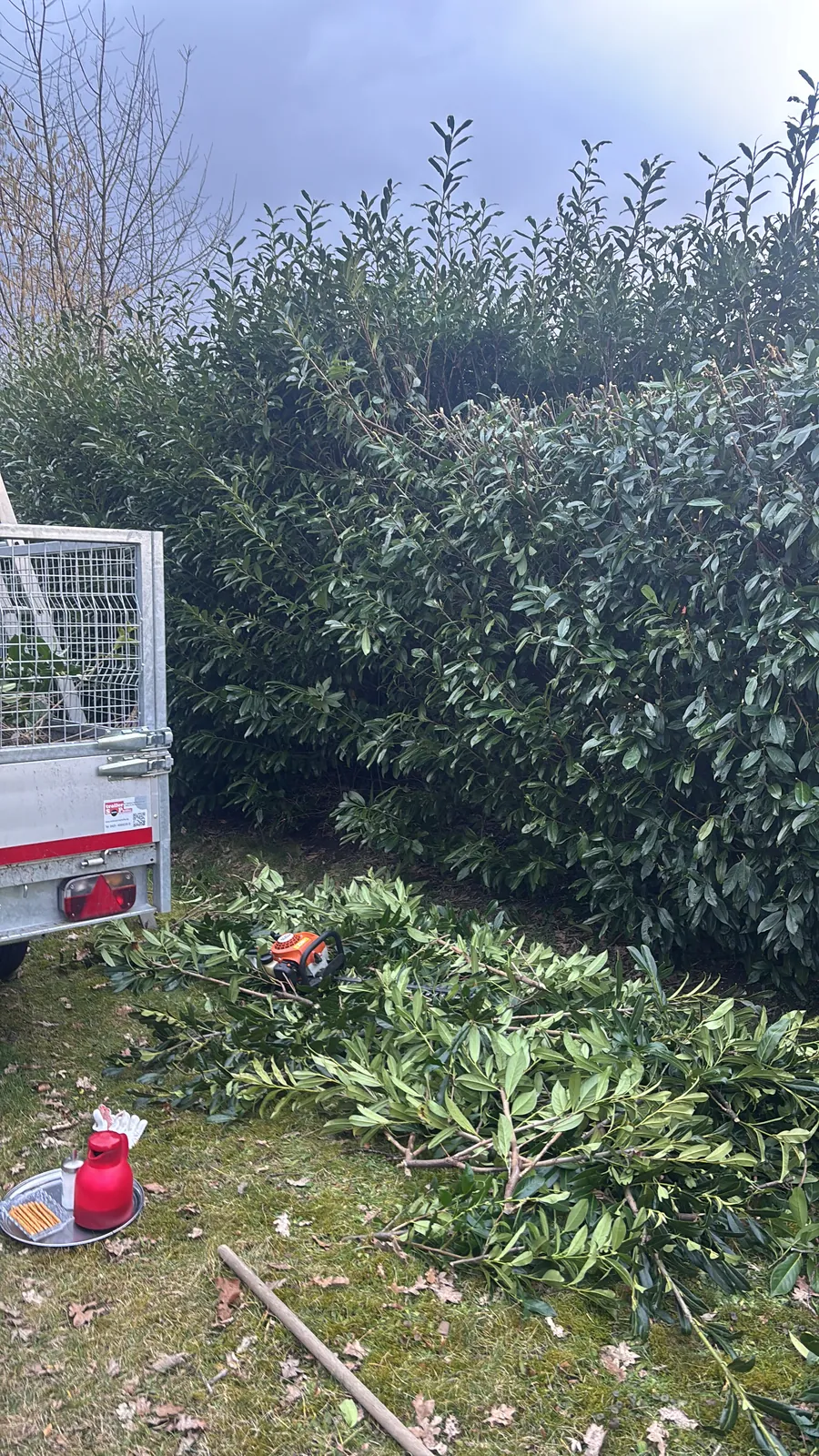 Hecke nach dem Schnitt