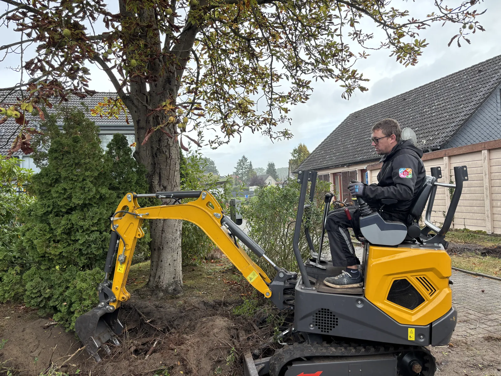 Minibagger bei Erdarbeiten neben einem Baum